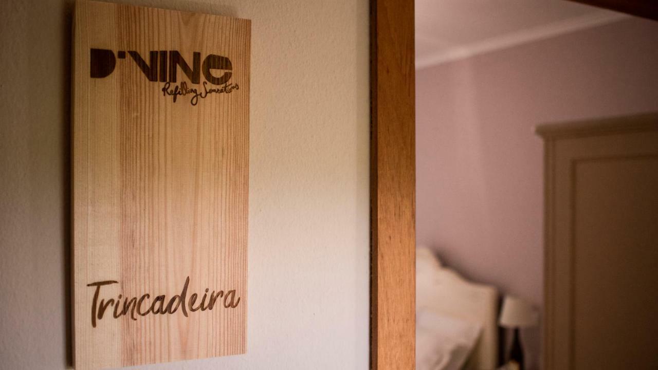 D'Vine - Country House Cartaxo Exterior photo