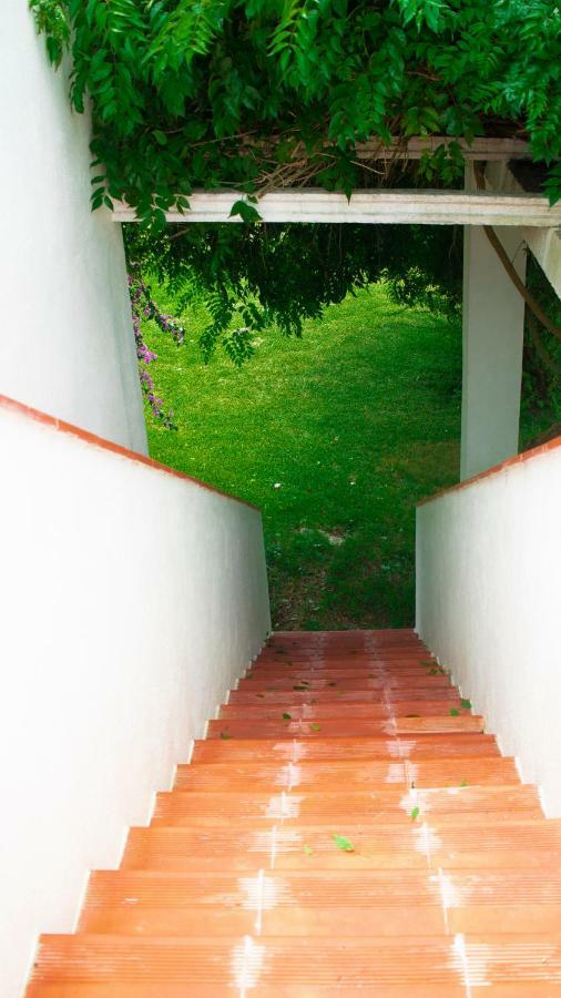 D'Vine - Country House Cartaxo Exterior photo